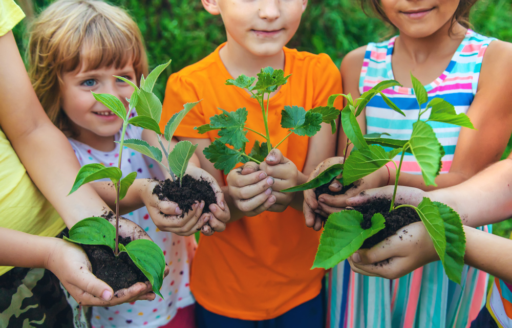 Four children are standing outdoors, each holding a small plant with soil in their hands, suggesting an activity related to gardening or planting.